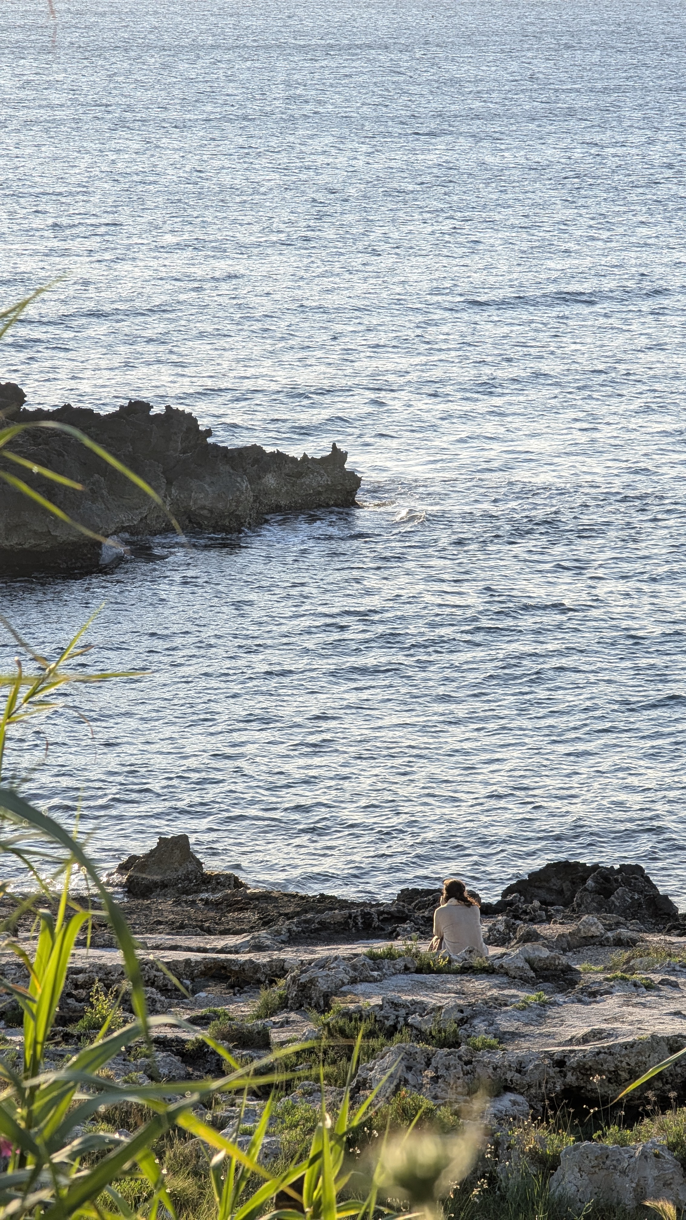 A lone figure sitting on the Salento rocks facing the open sea at golden hour, seen from a distance through wild grass