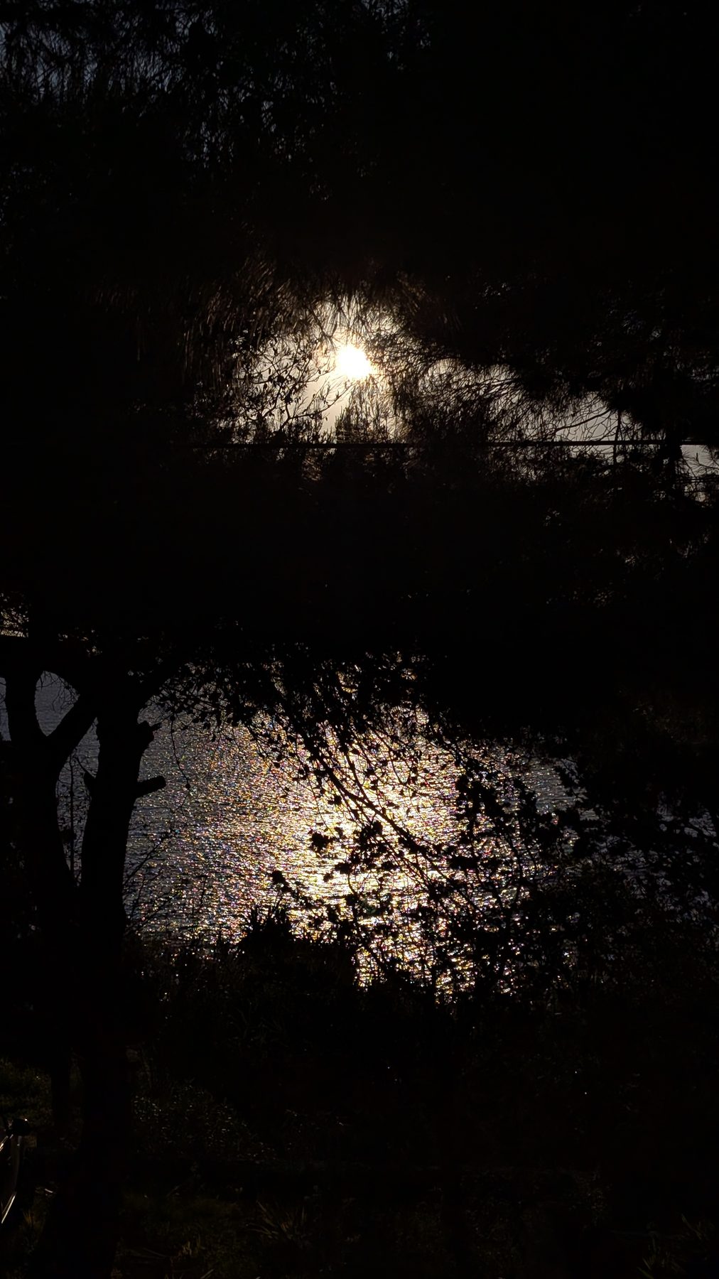 Moonlight reflecting on the sea at Il Sentiero, Salento