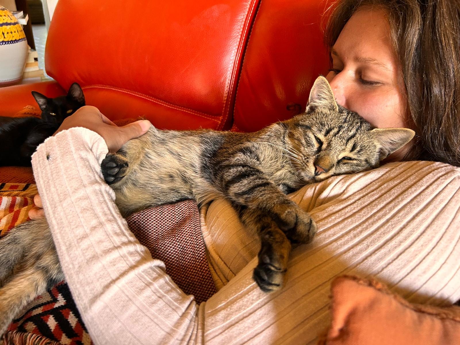 Nikita on the sofa with a cat asleep on her chest, Il Sentiero