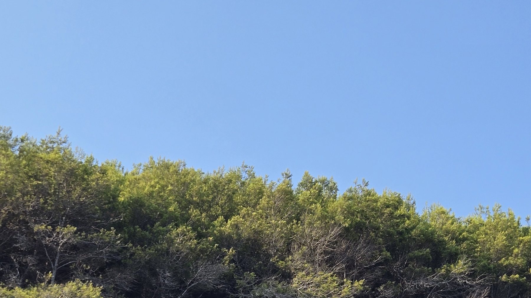 La falesia sopra il mare a Tricase Porto, Salento