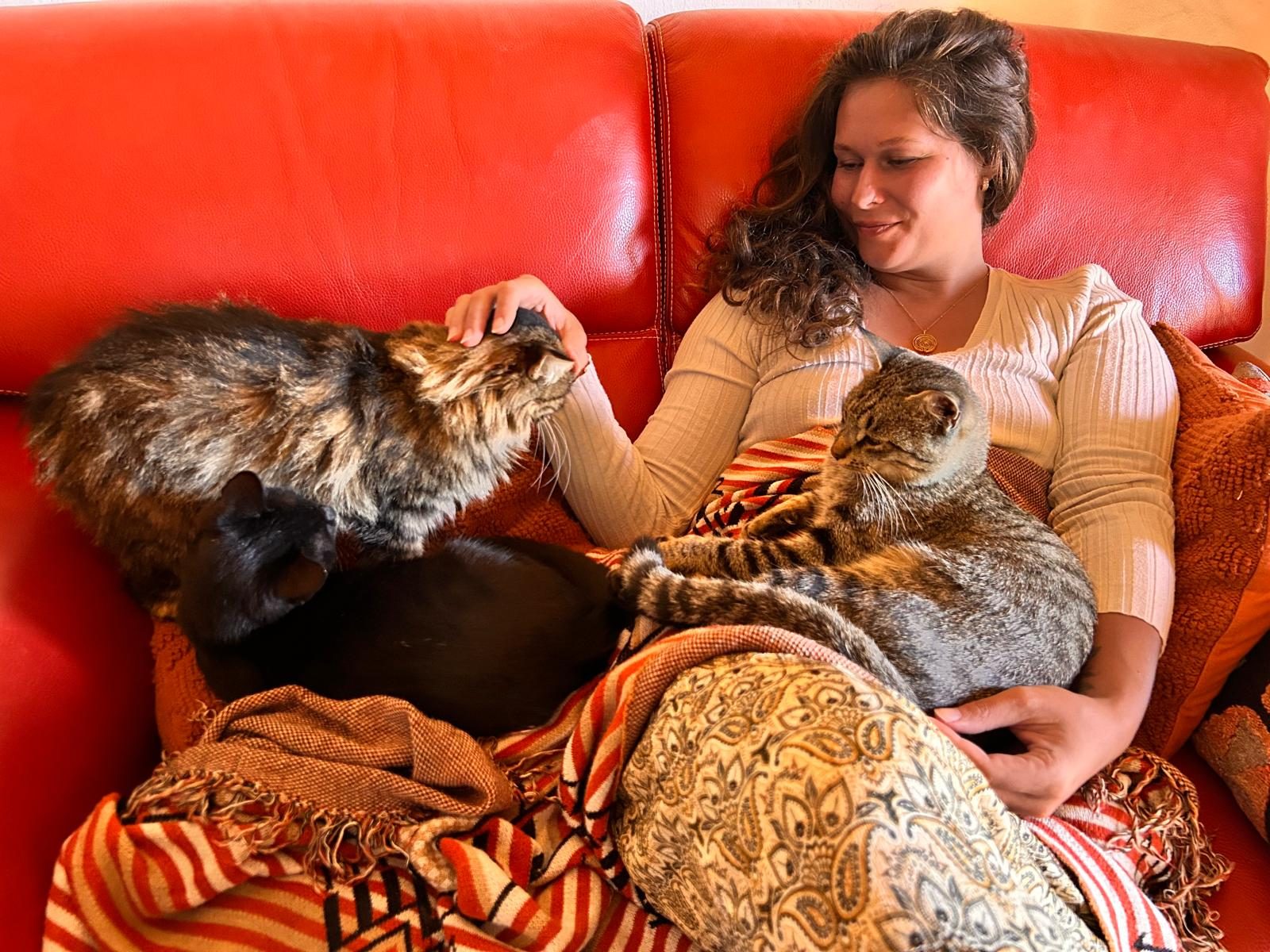 Nikita on a red sofa inside the house, with three cats curled up around her